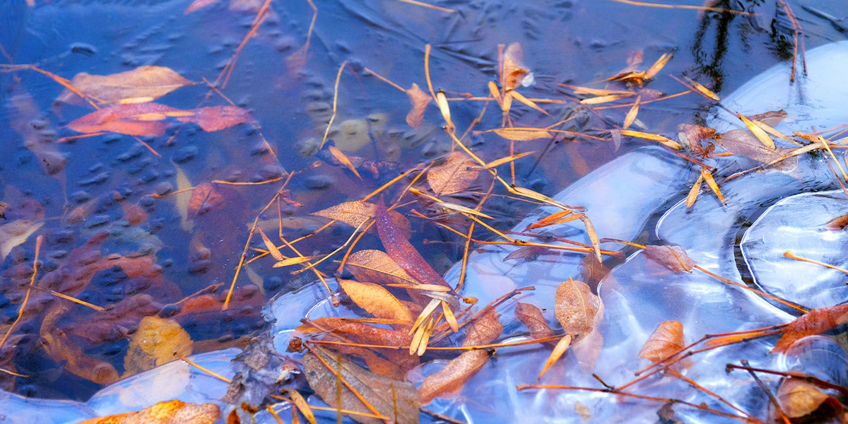 Votre bassin protégé contre le froid - Expert Bassin