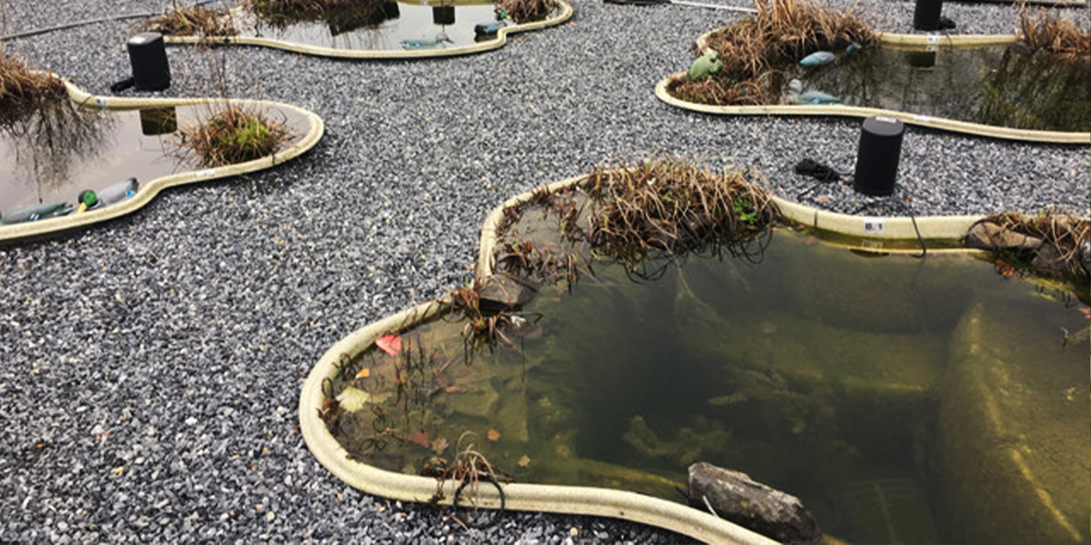You can choose models of preformed ponds for the garden