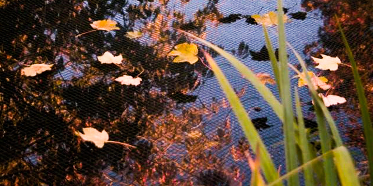 A monofilament protection net for ponds