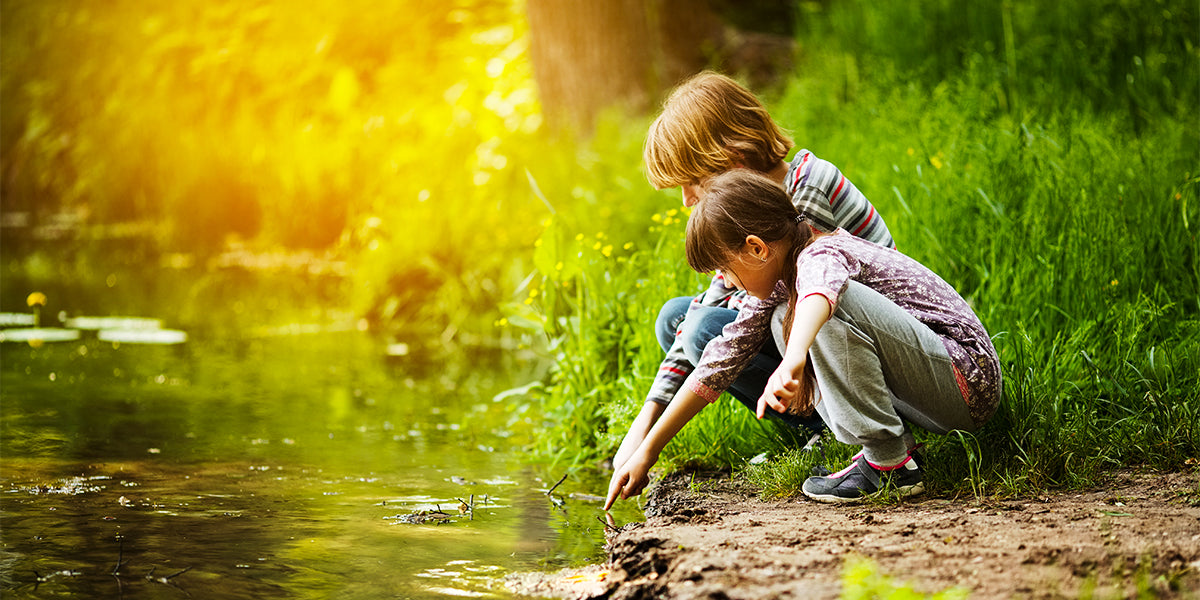 Maintenance, an important practice for the good health of the basin and its inhabitants