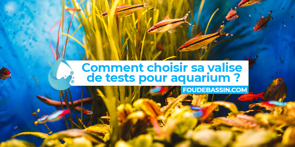 Quelle valise de test pour aquarium choisir? —