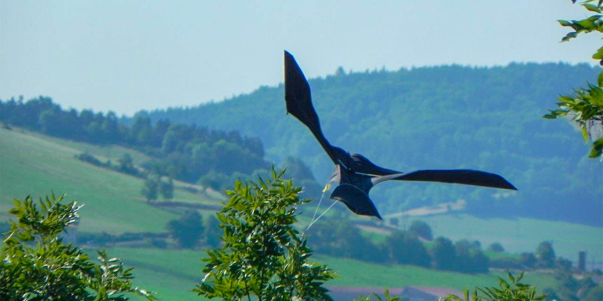 De ScaryBird, een effectieve en speelse verschrikker tegen reigers