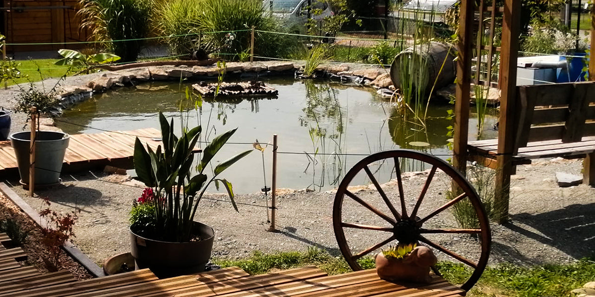 Un bassin de jardin réalisé avec une bâche EPDM