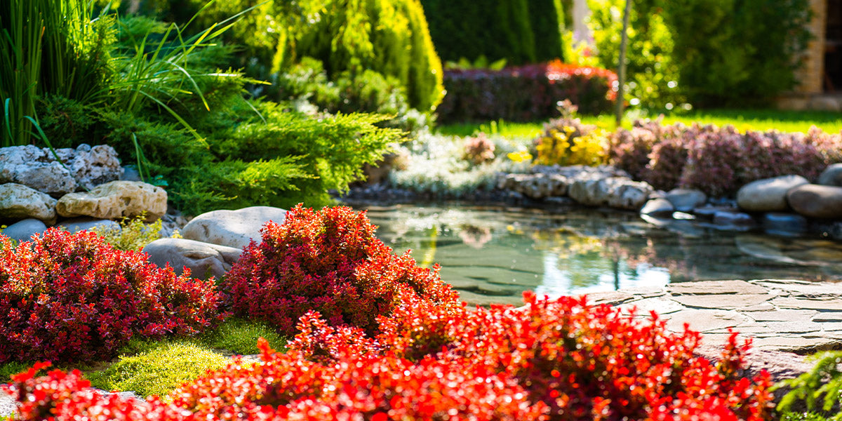 Een vijver verfraaid met een bloemrijke en kleurrijke tuin