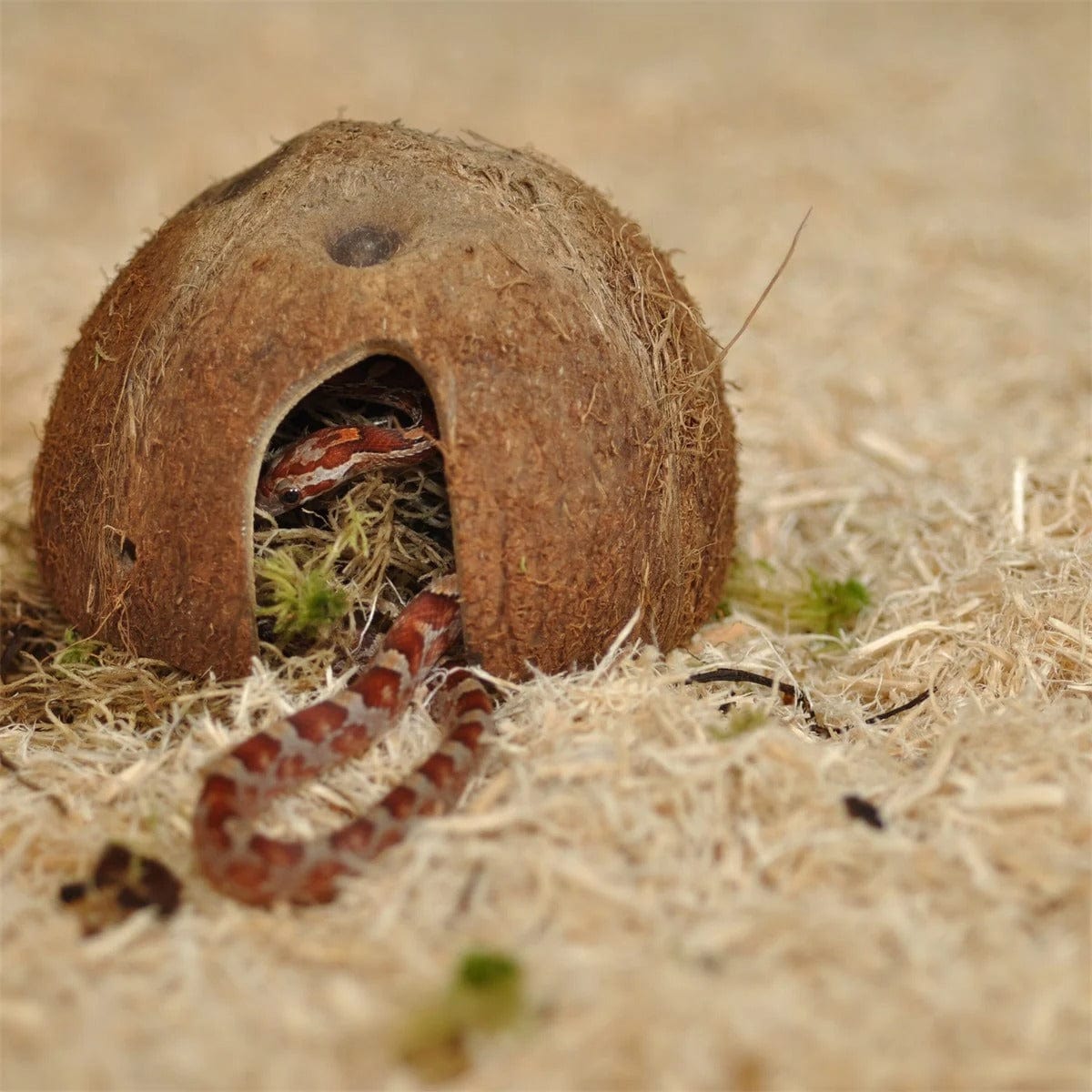 HABISTAT SNAKE BEDDING 5 LITRES