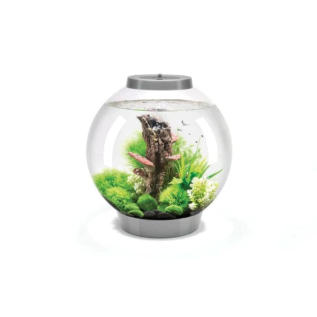 Primitief leeftijd wond biOrb CLASSIC 30 LED aquarium - 30 liter — FOUDEBASSIN.COM