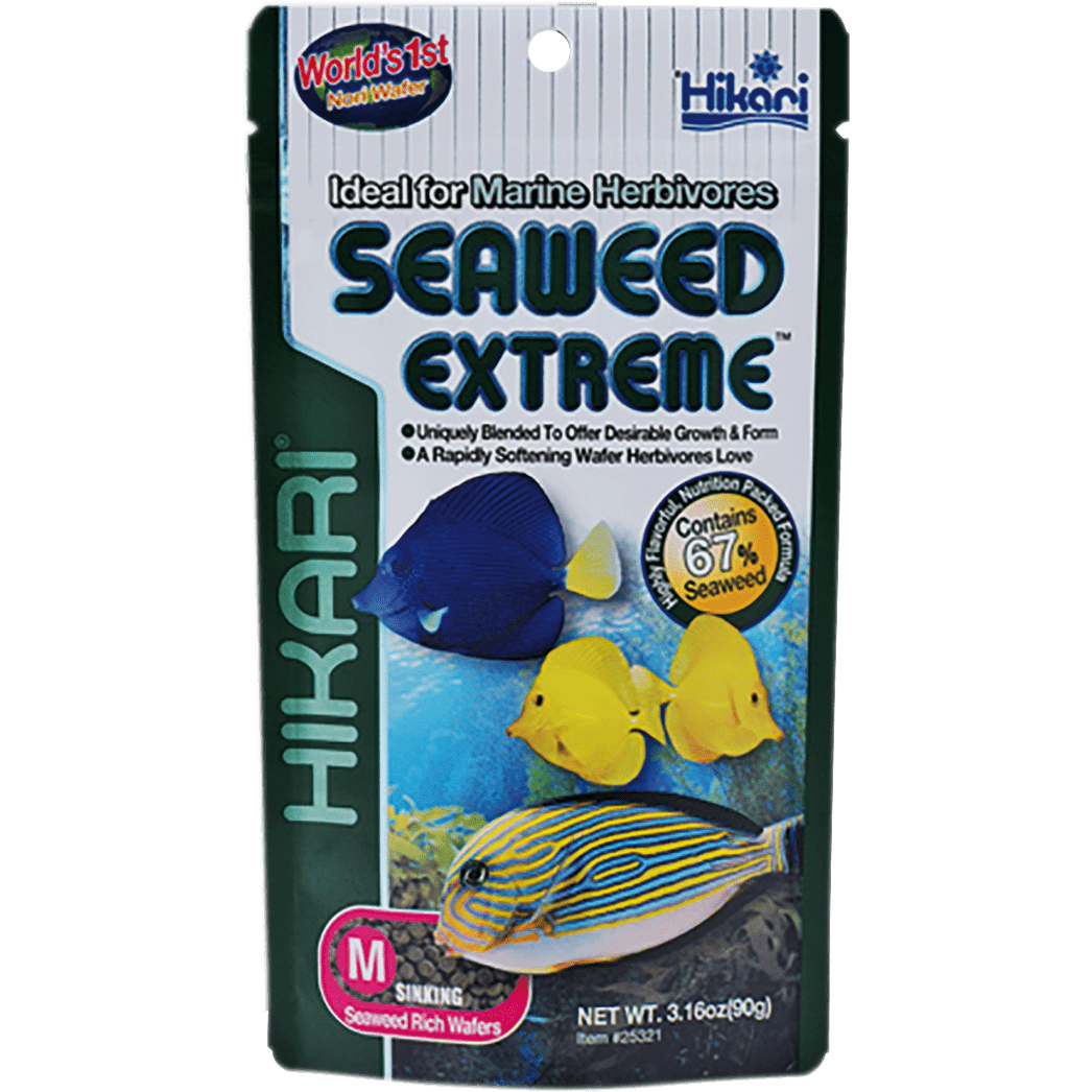 nori saltwater fish food