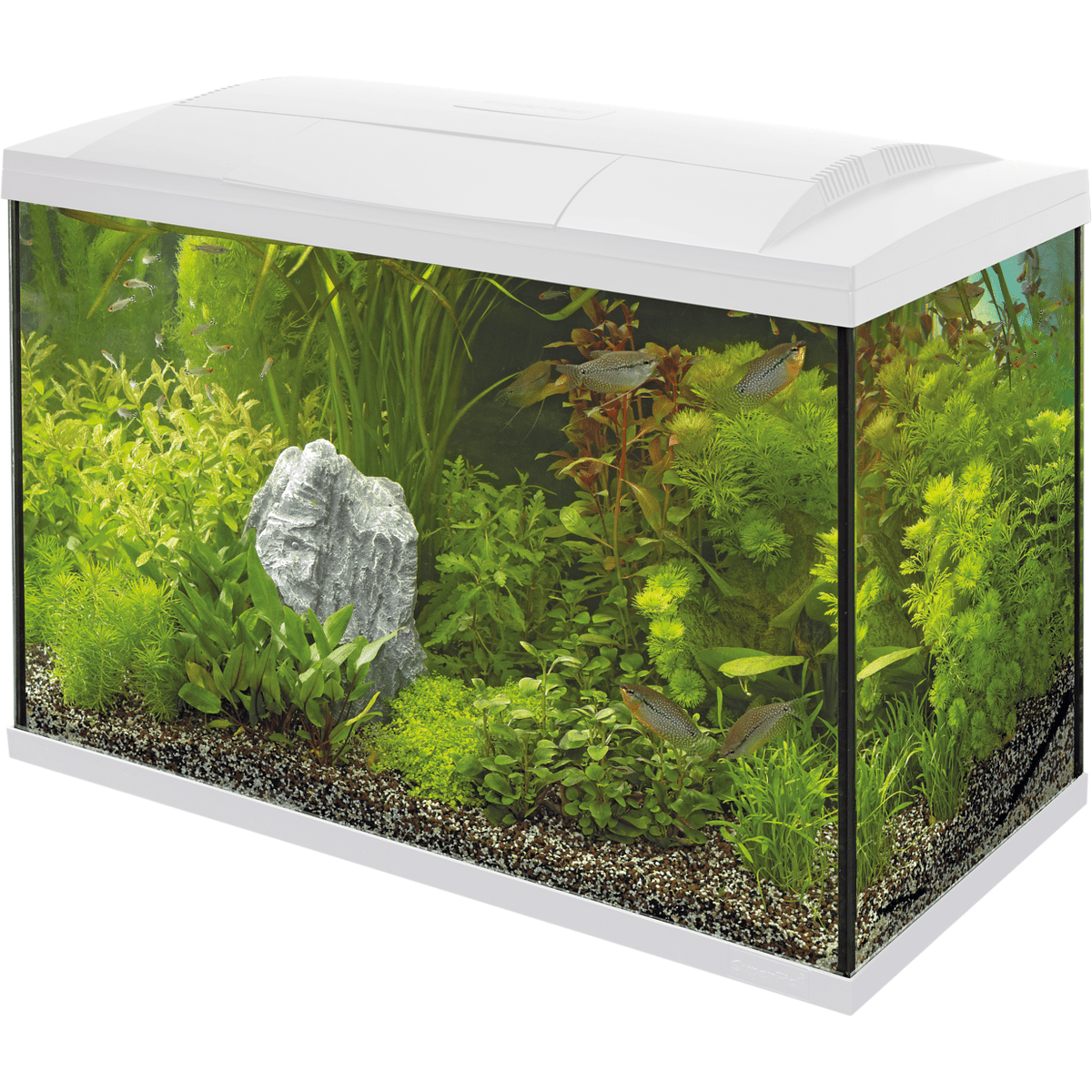 Aquarium Start 100 Kit White 100L Superfish —