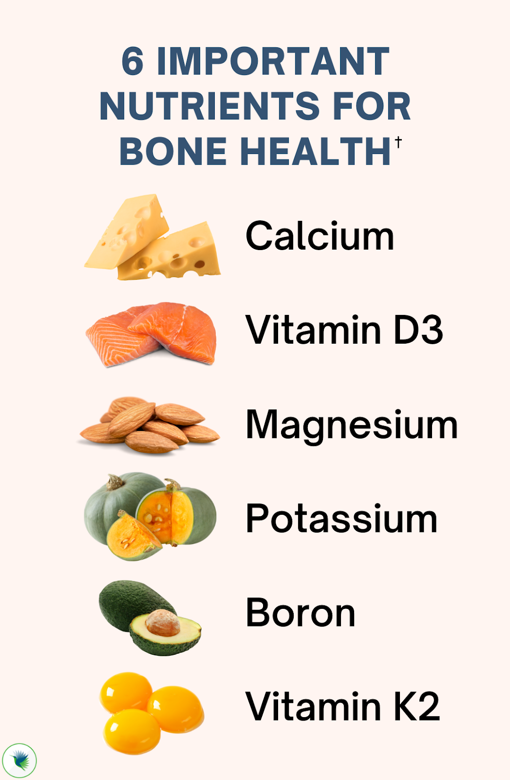 6 Important Nutrients for Bone Health