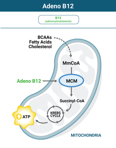 Why Adeno B12 Works