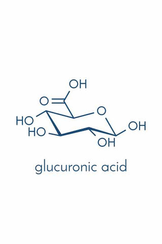 Why Calcium D-Glucarate Works