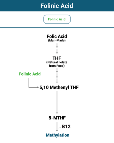 Why Folinic Acid Lozenge Works