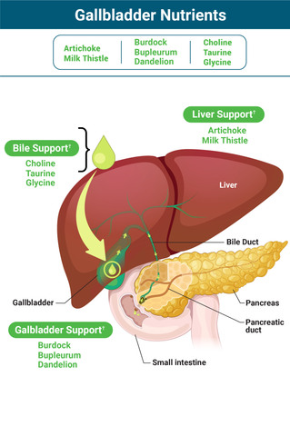 Why Gallbladder Nutrients Works