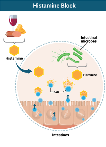 Why Histamine Block Works