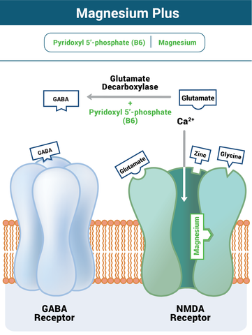 Why Magnesium Plus Works