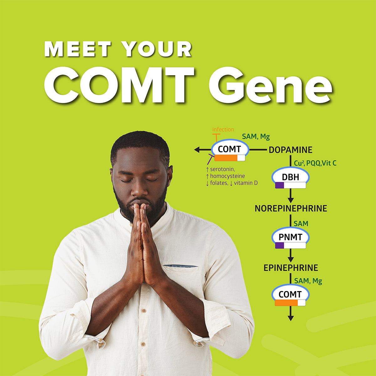Meet-Your-COMT-Gene