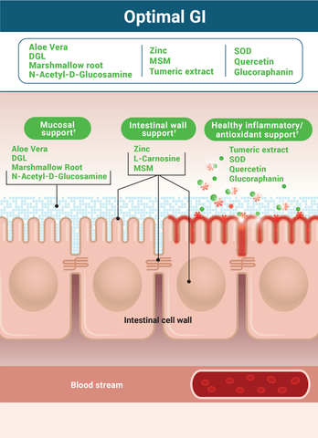 Why Optimal GI Works