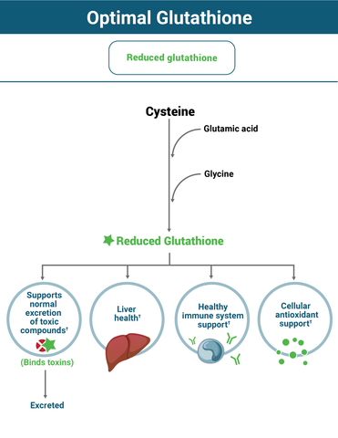 Why Optimal Liposomal Glutathione Works