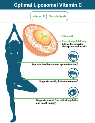 Why Optimal Liposomal Vitamin C Works