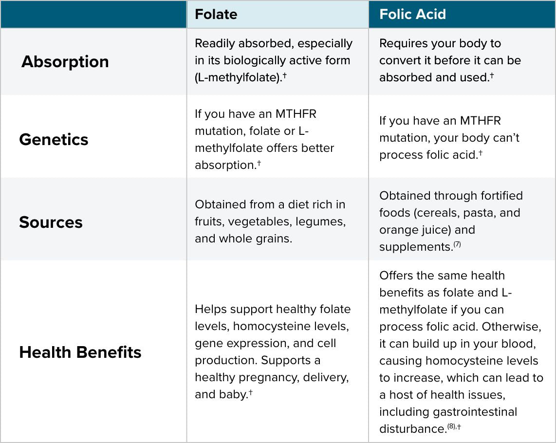 Folate vs Folic acid