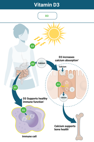 Why Vitamin D Drops Works