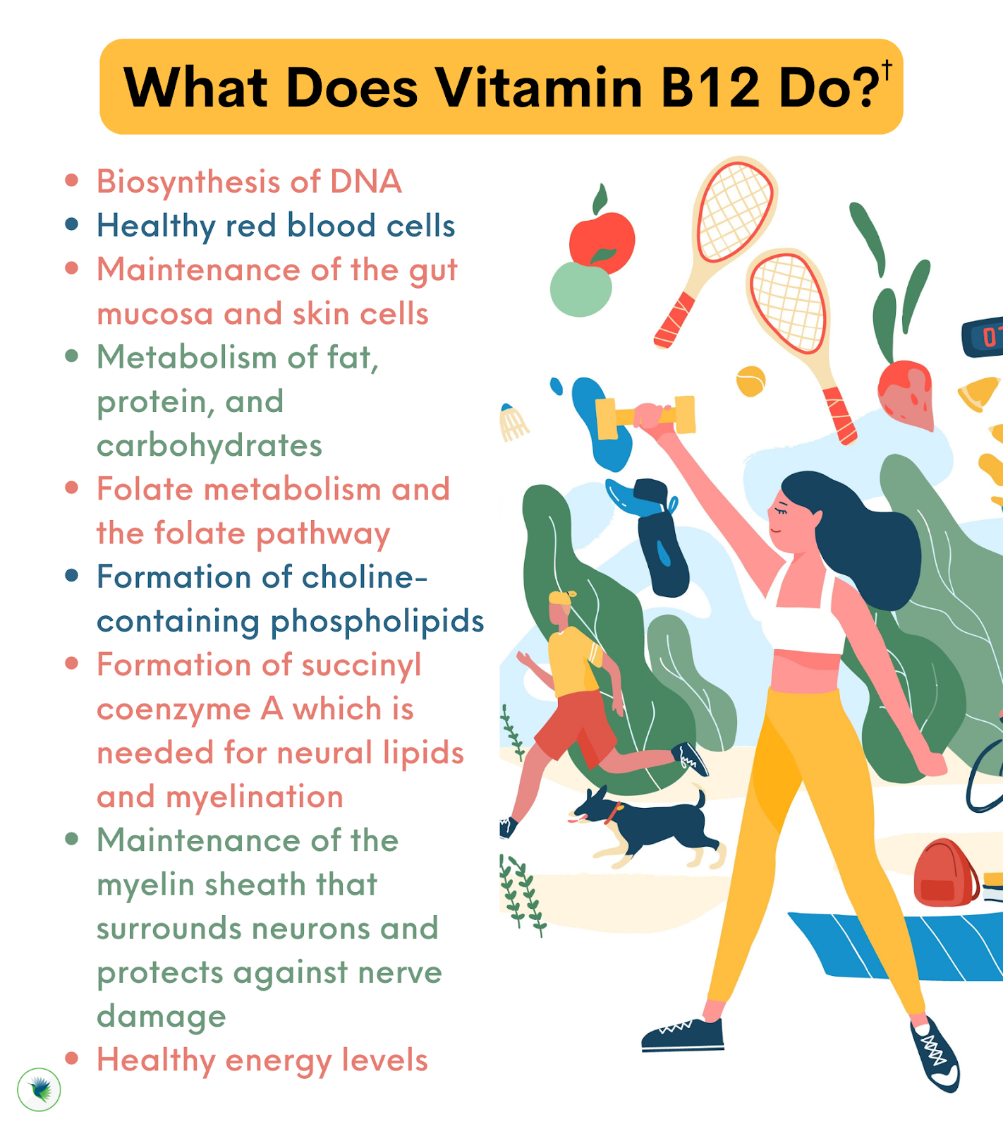 Benefits of Vitamin B12: How To Use, What To Look For