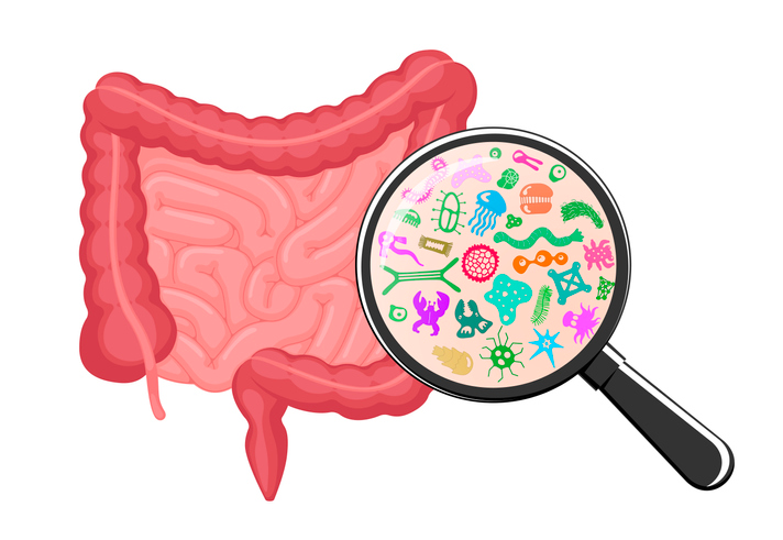 Gut Microbiome graphic