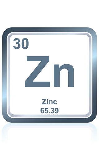 Why Zinc Carnosine Works