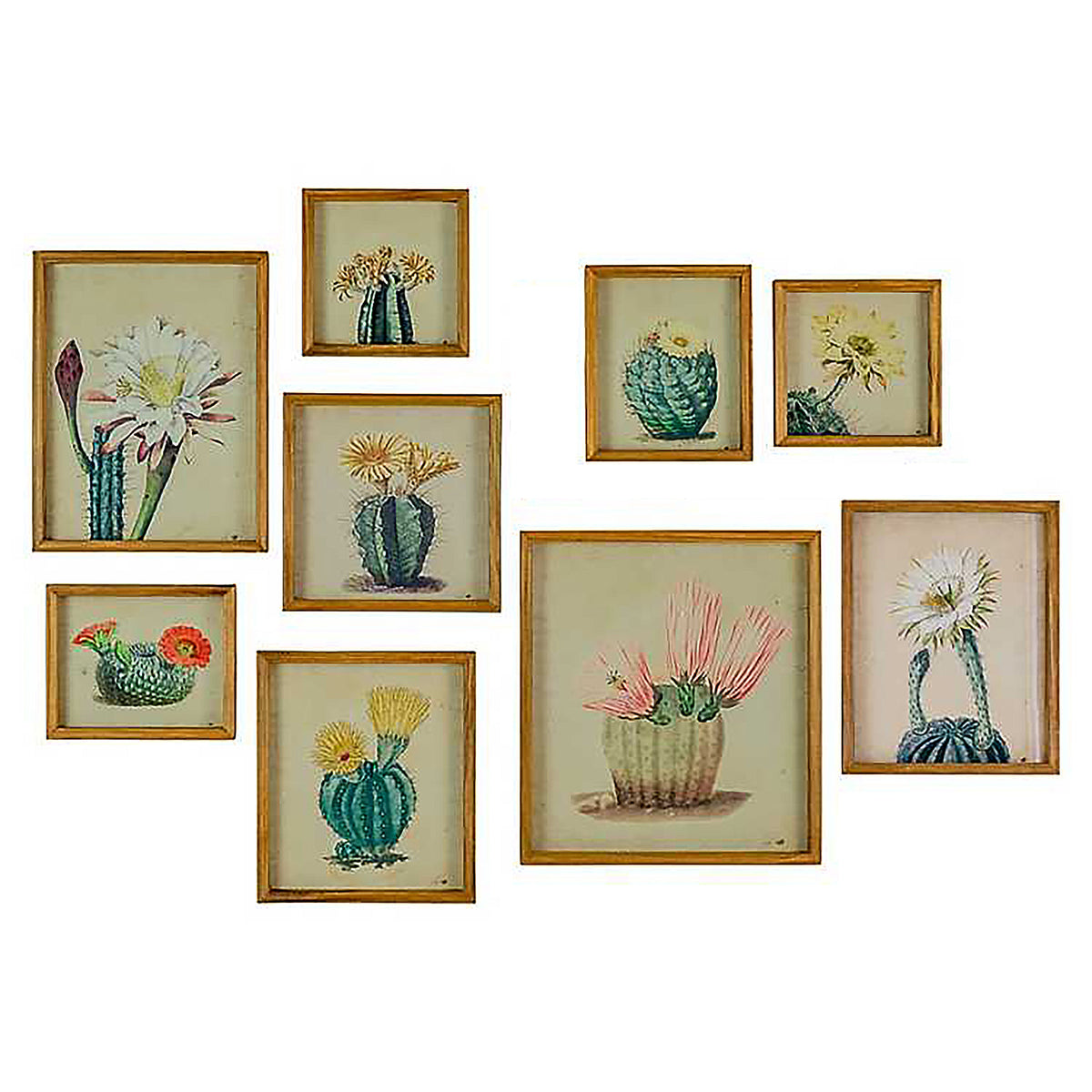 Botanic Leaf Prints With Rustic Wood Frames - Set of 6 - Woodwaves