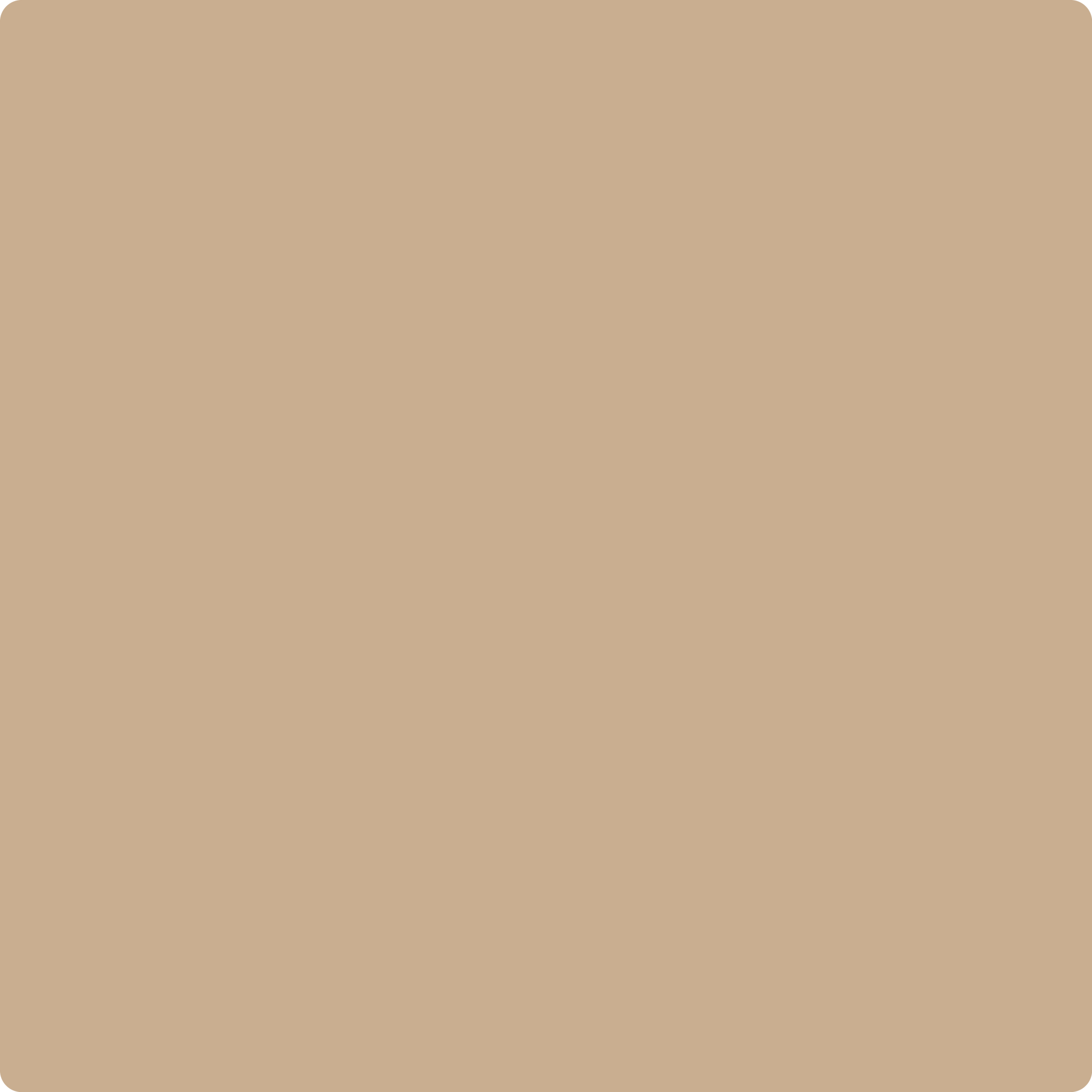 1123 Palm Desert Sand By Benjamin Moore The Color House Thecolorhouse