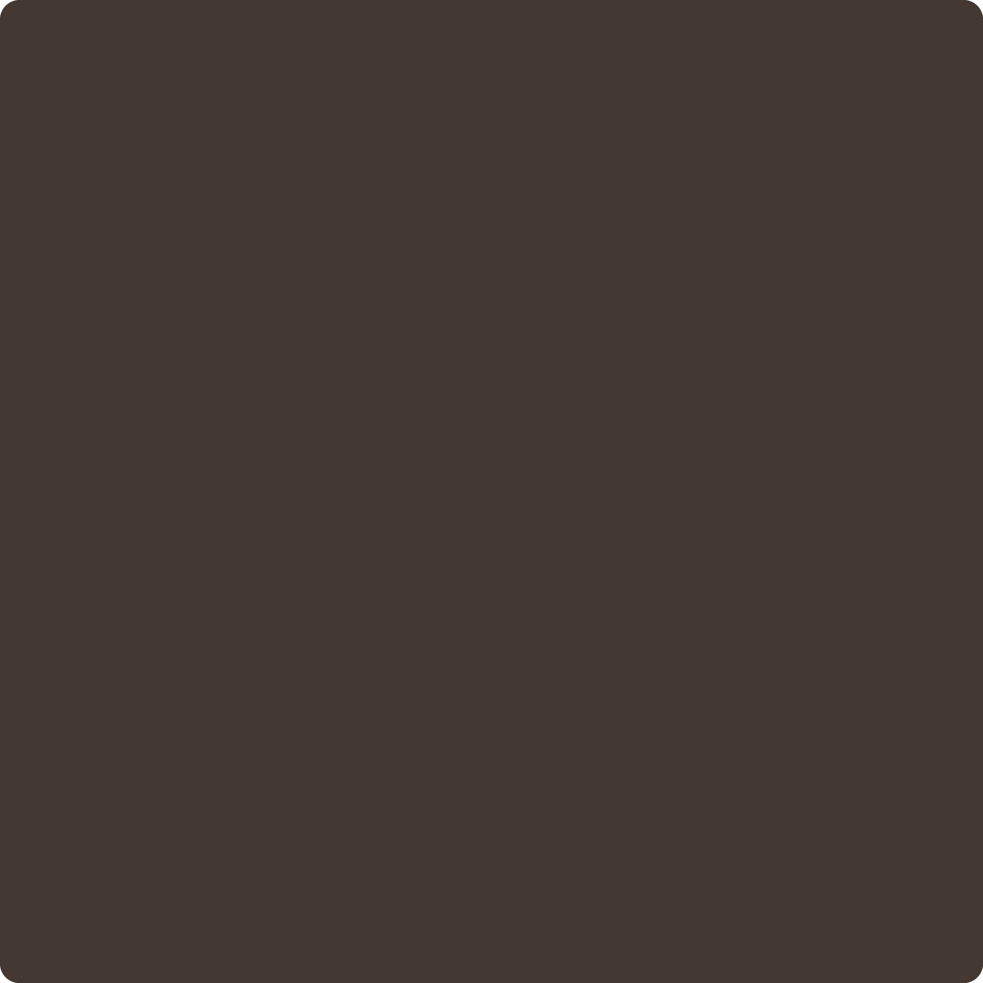 Benjamin Moore S 2114 10 Bittersweet Chocolate The Color House