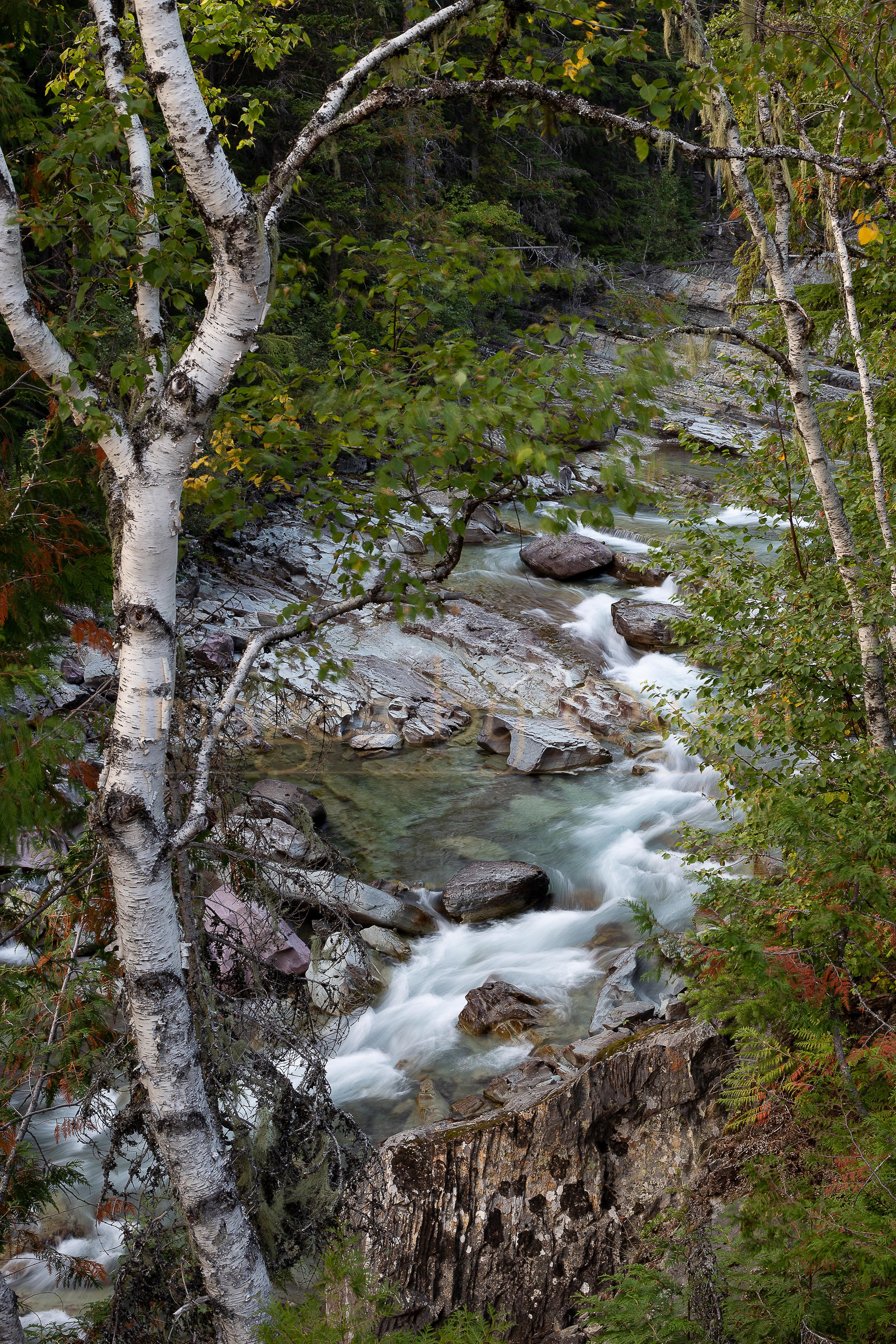 Glacier Stream