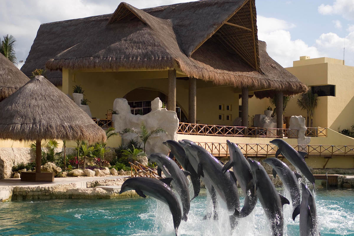 Dolphinaris Park Cozumel Dolphin Interactive Program – 