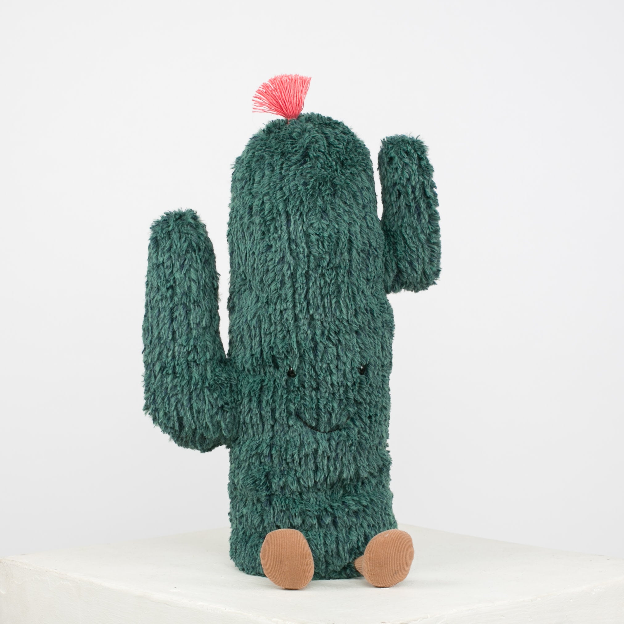 amuseable cactus