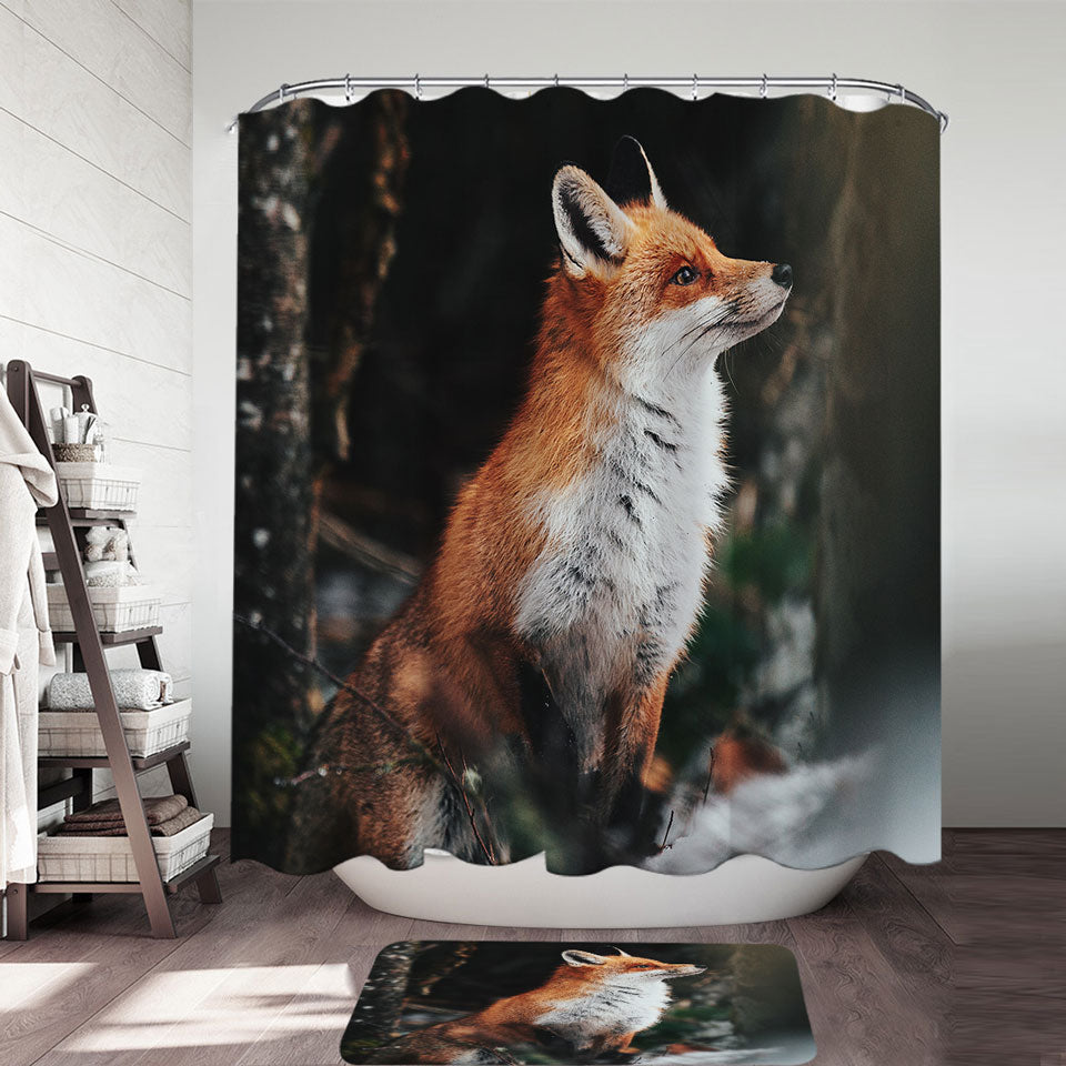 Sleeping Fox Shower Curtain – Shower of Curtains