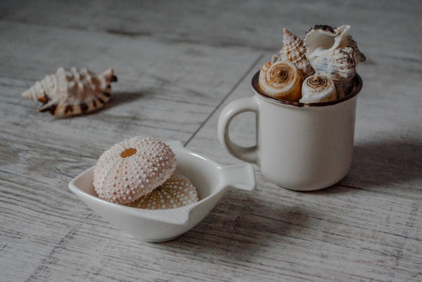 A seashell cup and bowl.