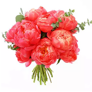 Coral Peony Bouquet