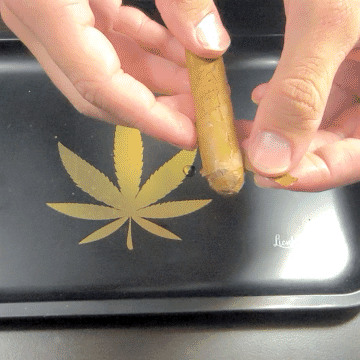 How to Roll a Perfect Cross Blunt