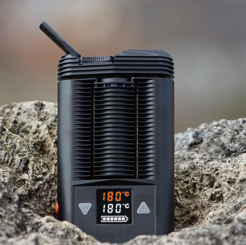 Storz and Bickel Mighty Vaporizer