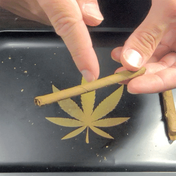How to Roll the Perfect Cross Blunt