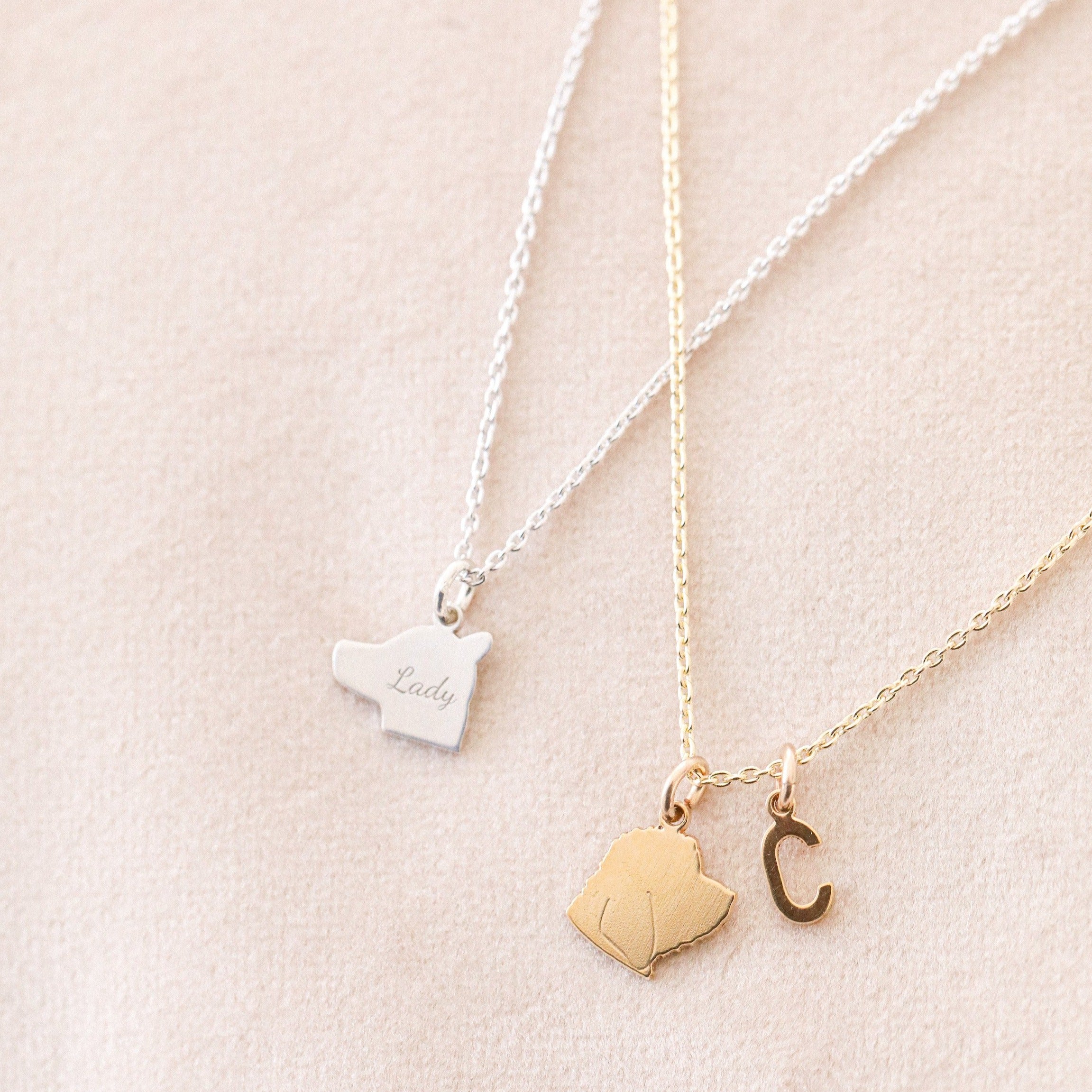 Stock Silhouette Charm Necklace - Tiny