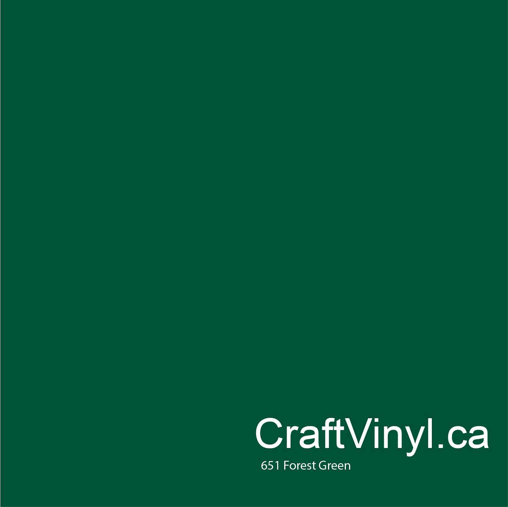 Oracal 651 Glossy Forest Green Vinyl 613 Craft Vinyl