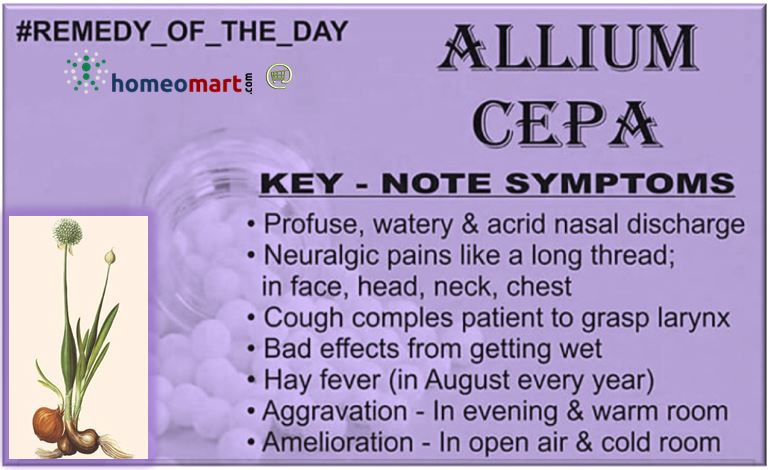 Allium Cepa Homeopathy 2 Dram Pills In 6c 30c 0c 1m 10m Homeomart