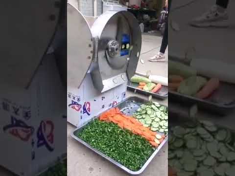 Stainless Steel Vegetable Dehydrator for Food Degreasing – CECLE Machine