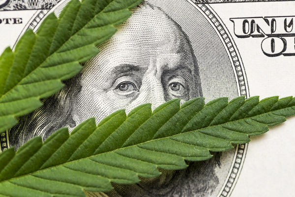 Cannabis leaf over a one hundred dollar bill