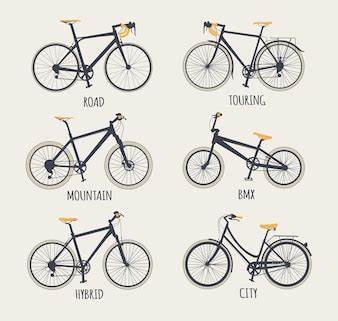 There are many different types of bikes.  Here are some examples of the types out there for you to choose from