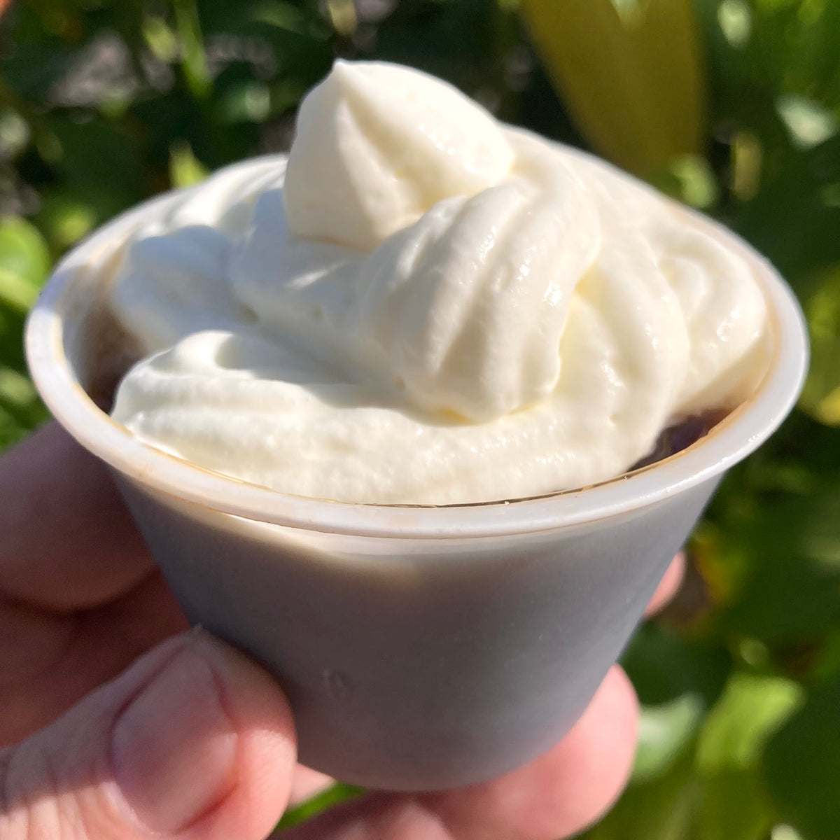 Hawaiian Coffee Jelly