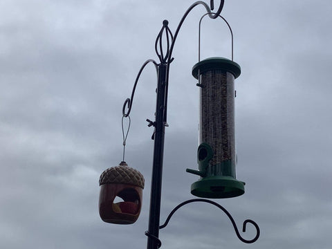 Hangout garden bird feeder