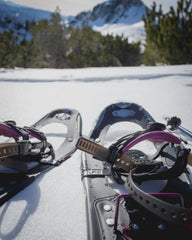 Snowshoe adventures with ICEGRIPPER