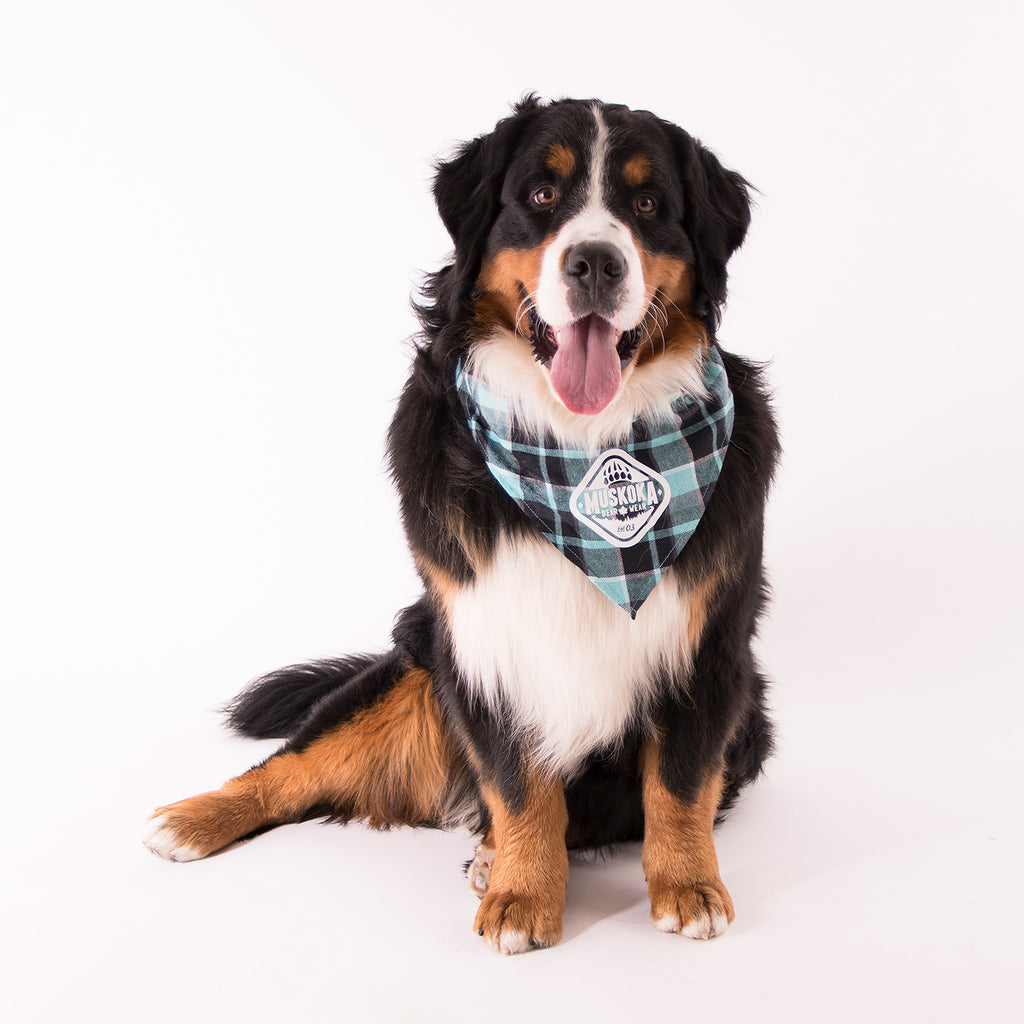 pet bandanas canada